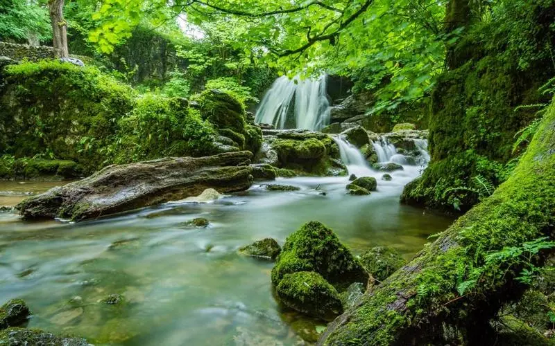 可靠性独特可靠性